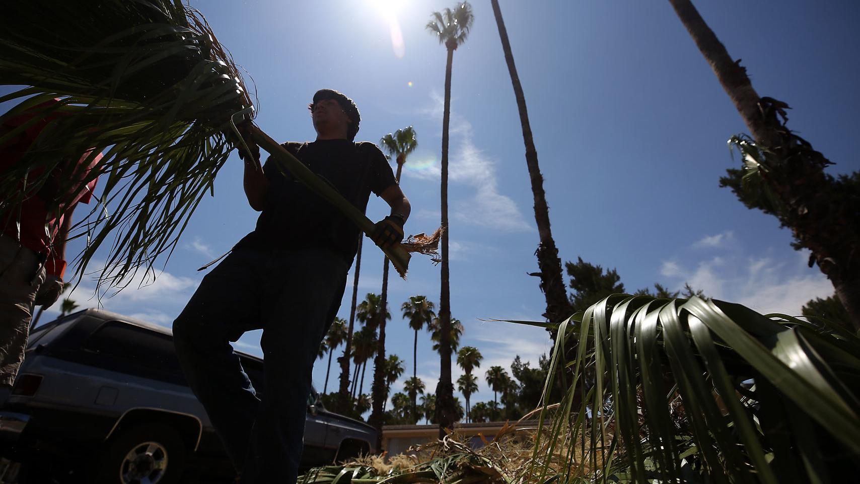 Thanks to Bud we had a relatively mild, wet June; monsoon yet to crank up
